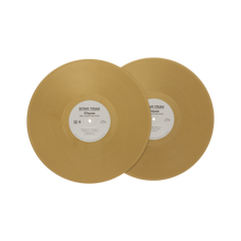 Load image into Gallery viewer, HELL HATH NO FURY GOLD 2LP
